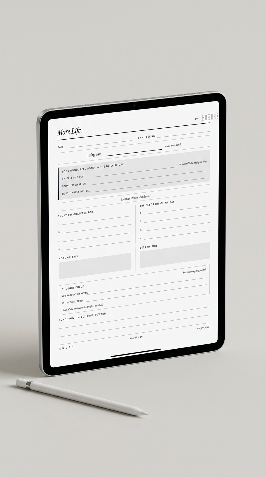 More Life. Journal